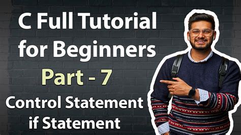 Beginner's Tutorial 的图像结果