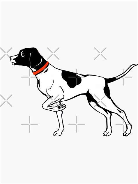 Pointer Dog in Action 的图像结果