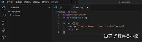 C Using vs Code Windows 的图像结果