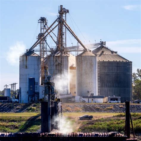 Image result for Grain Exploding