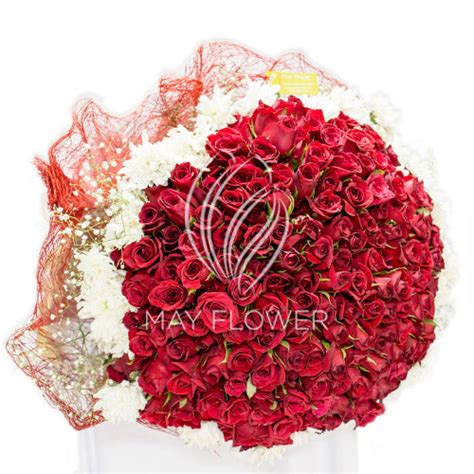 250 Red Rose Bunch – May Flower