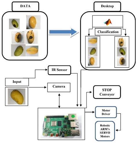 Rotten-Fruit-Sorting Robotic Arm: (Design of Low Complexity CNN for ...
