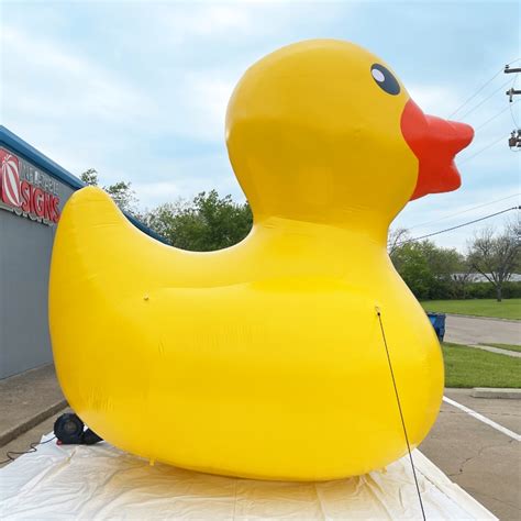 Image result for Deflating Inflatable Duck