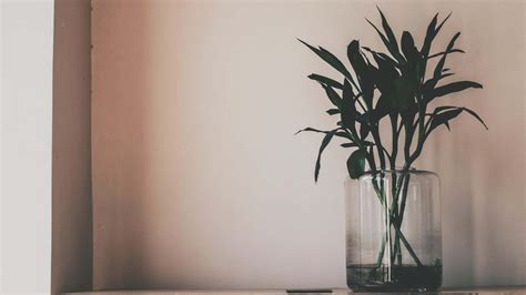 English Phonetics API Aesthetic Minimalist Minimalist Minimalist Background Background PNG Aesthetic Aesthetic