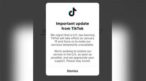 TikTok goes dark for US users as ban takes effect