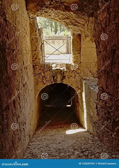 Italica In Hispania Baetica