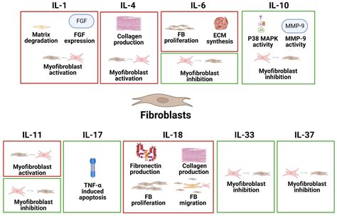 Pathophysiological Effects of Various Interleukins on Primary Cell ...