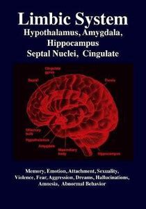 Limbic System: Buy Limbic System by Joseph R Gabriel at Low Price in ...