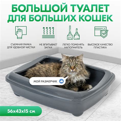 Туалет для кошек, лоток для кошек "PetTails" для Мейн-кунов глубокий ...