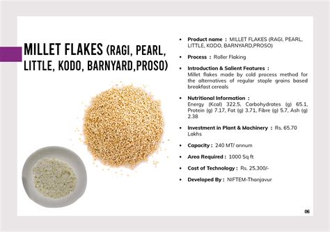 NIFTEM-T Technologies Ready for Transfer and Commercialization - Millet ...