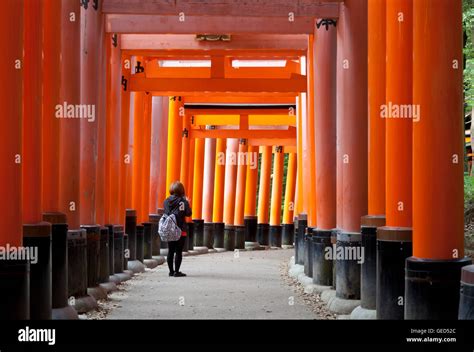 Japan Famous Places 的图像结果