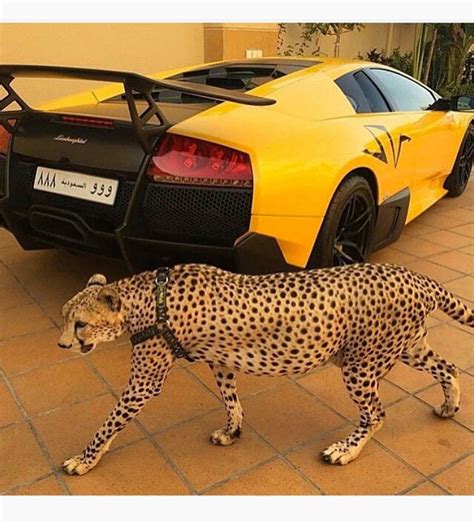 rich kids of saudi images | GQ India