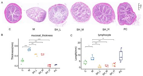 Mechanism of Mulberry Leaves and Black Sesame in Alleviating Slow ...