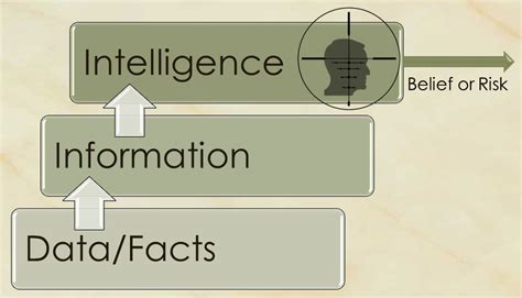 Data/Information Intelligence Example 的图像结果