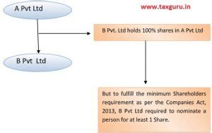 All about Nominee shareholder