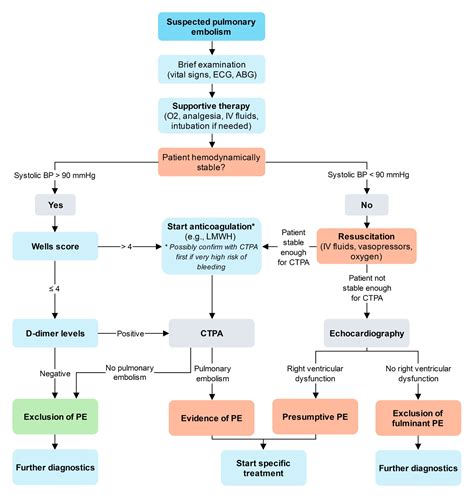 Pulmonary Embolism Algorithm 的图像结果