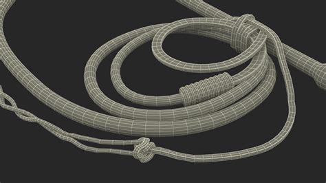 Historical Leather Whip Braided Black 3D | 3D Molier International