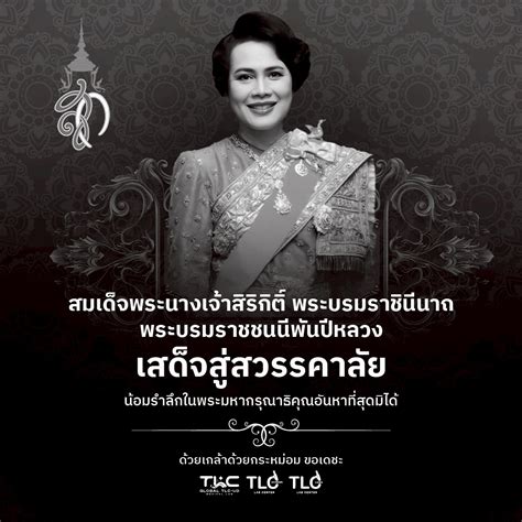 What Are Postbiotics and Why Are They Important for Health? - TLC Udon Lab Center