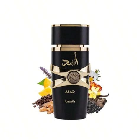 Lattafa PERFUME ASAD LATTAFA 100 ML ORIGINAL | PERFUME HOMEM ASAD ...