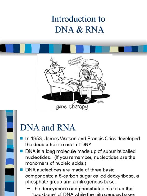 Image result for DNA Introduction