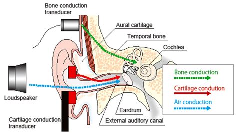 Bone conduction headphones: Everything you need to know | What Hi-Fi?