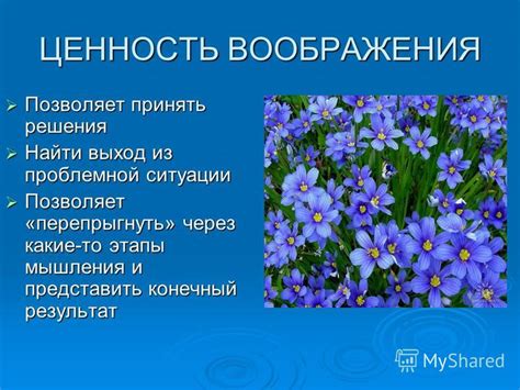 Презентация на тему: "ВООБРАЖЕНИЕ или фантазия (это синонимы), как и ...
