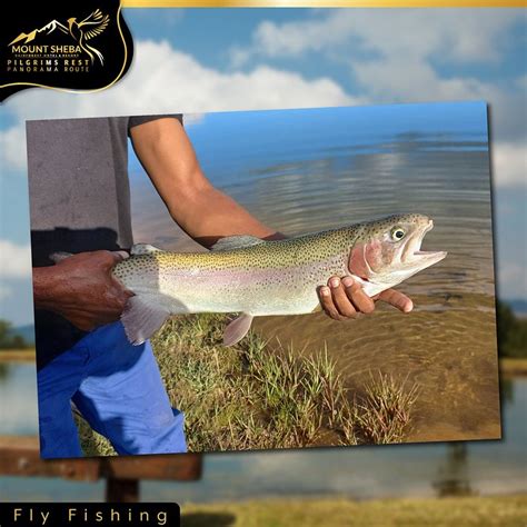 MOUNT SHEBA (Mpumalanga, South Africa) - Hotel Reviews, Photos, Rate ...