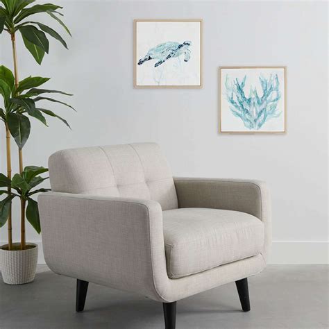 Framed Right Turtle Canvas Wall Art, 17"