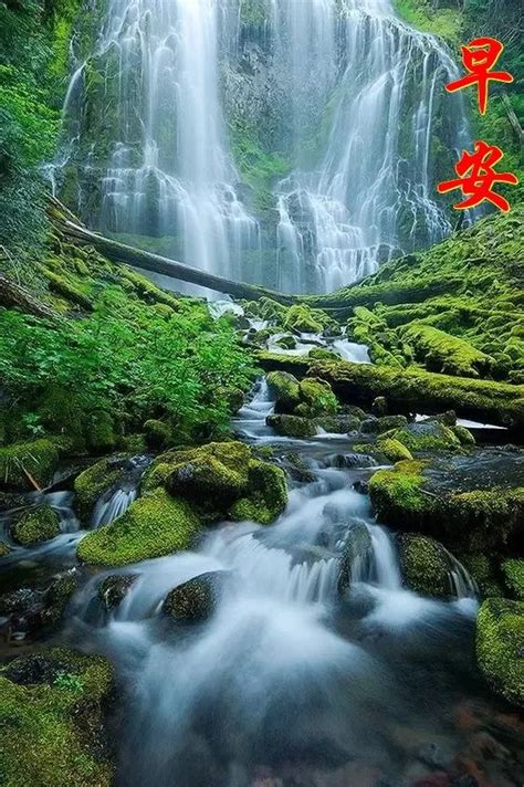 早安风景 的图像结果