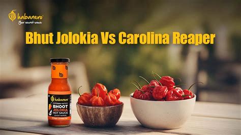 Pasta vs. Macaroni: What's the Difference & Which One to Choose ...