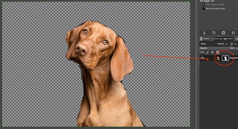 GIMP Transparent Mask 的图像结果