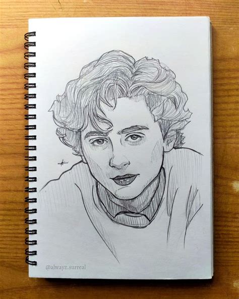 @alwayz.surreal on ig • Timothee Chalamet art | Drawing stencils ...