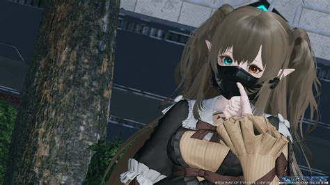 Image result for PSO2 Female Cast Hair