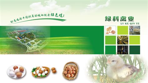 【苗惠中国】以种禽为核心，凭信誉走四方——河南丰园禽业有限公司 | 中国动物保健·官网