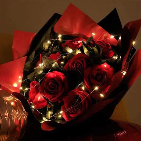 Image result for LED Fairy String Lights