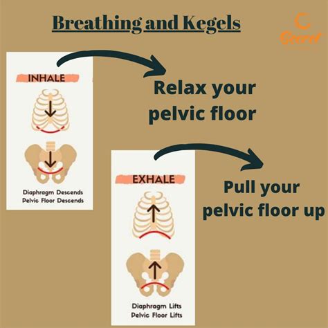 How Breathing Can Strengthen Your Pelvic Floor | Secret Whispers