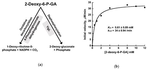 Serendipitous Discovery of a Competitive Inhibitor of FraB, a ...