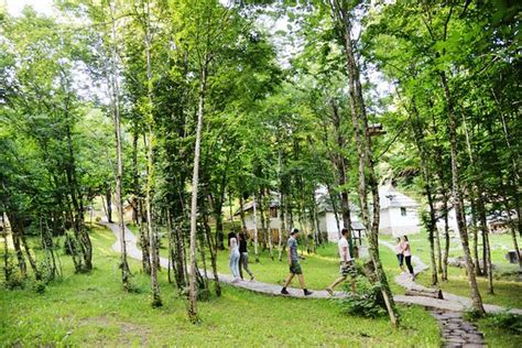 RAFTING CAMP DIVLJA RIJEKA (Foca) - What to Know Before You Go