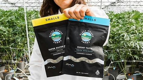 Glass House Farms: Powered by the Sun. Grown by the Sea. | Leafly