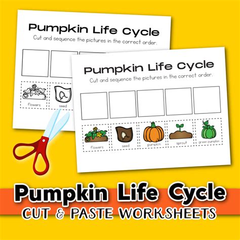 Life Cycle of a Pumpkin Printables - Worksheets Library