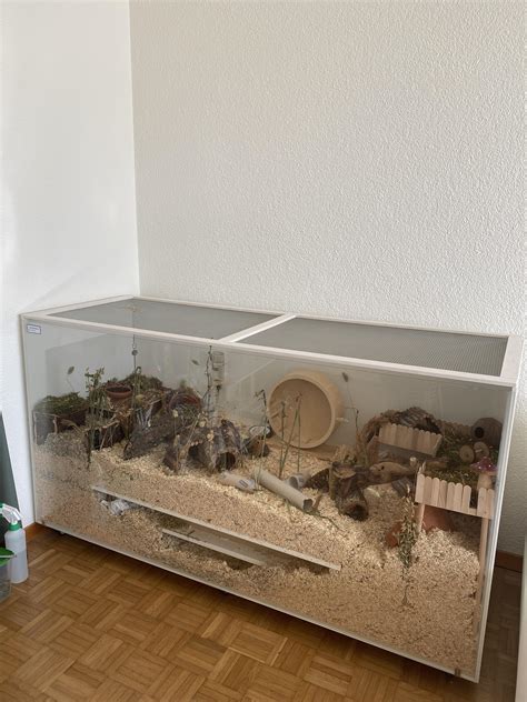 Syrian Hamster Cages Diy