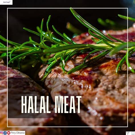 Halal Meat - The Halal Insights