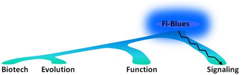 From Plant Infectivity to Growth Patterns: The Role of Blue-Light ...