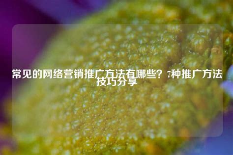 常见的网络营销推广方法有哪些？7种推广方法技巧分享 - 世外云文章资讯