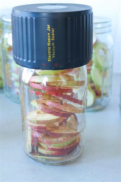 How To Freeze Dry Apples At Home -6 Tips For Success - Hollis Homestead
