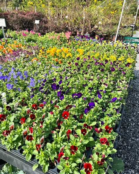 Pensacola Seed & Garden North (@pensacolaseedandgardennorth ...