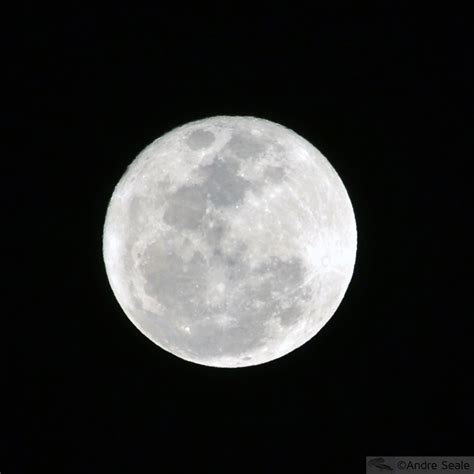 Image result for El Lua