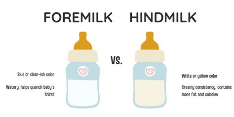 The Truth About Foremilk & Hindmilk- Breast Milk Explained - My Pure Delivery