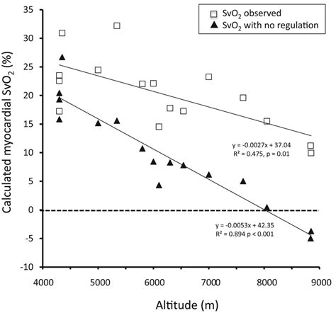 SvO2 的图像结果