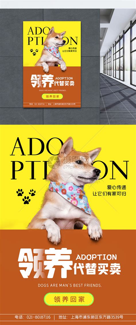 领养宠物公益海报设计系列模板素材-正版图片401754799-摄图网